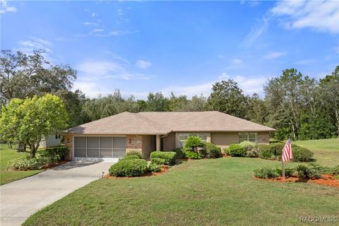 1046 N Nashua Terrace Inverness FL 34453