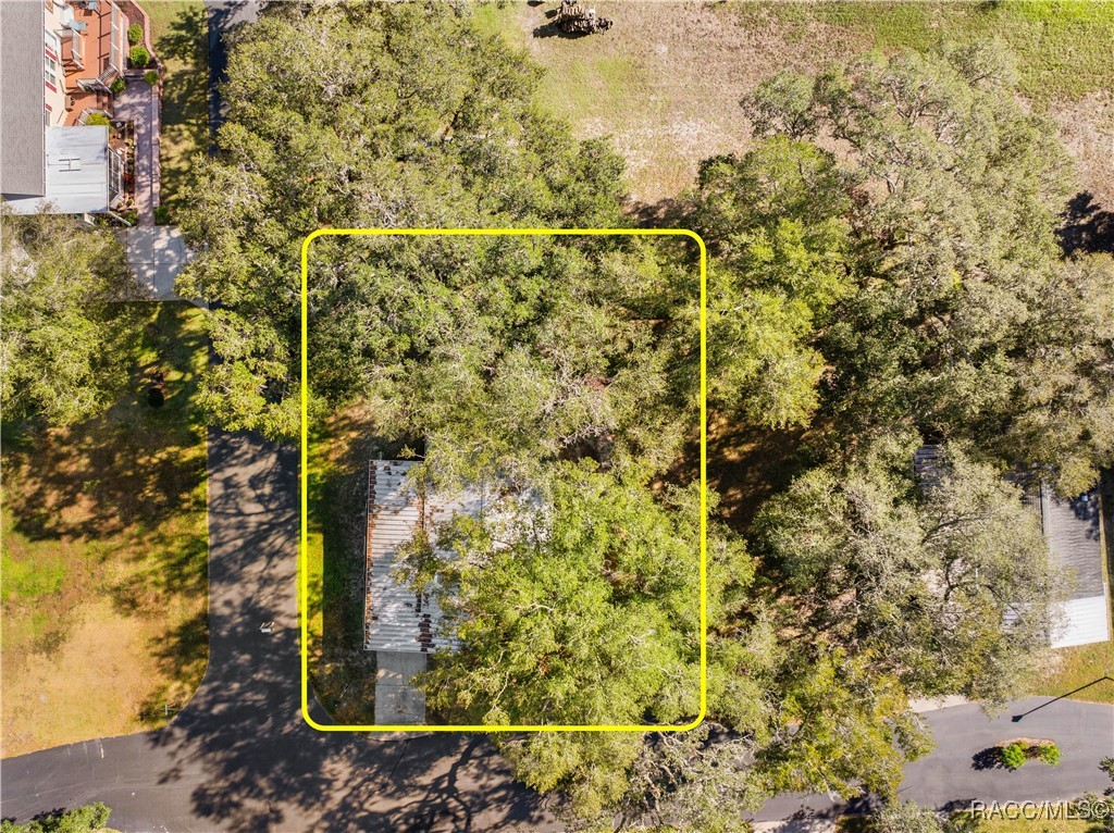 7112 Pine Needle Lane, Brooksville, Florida image 2