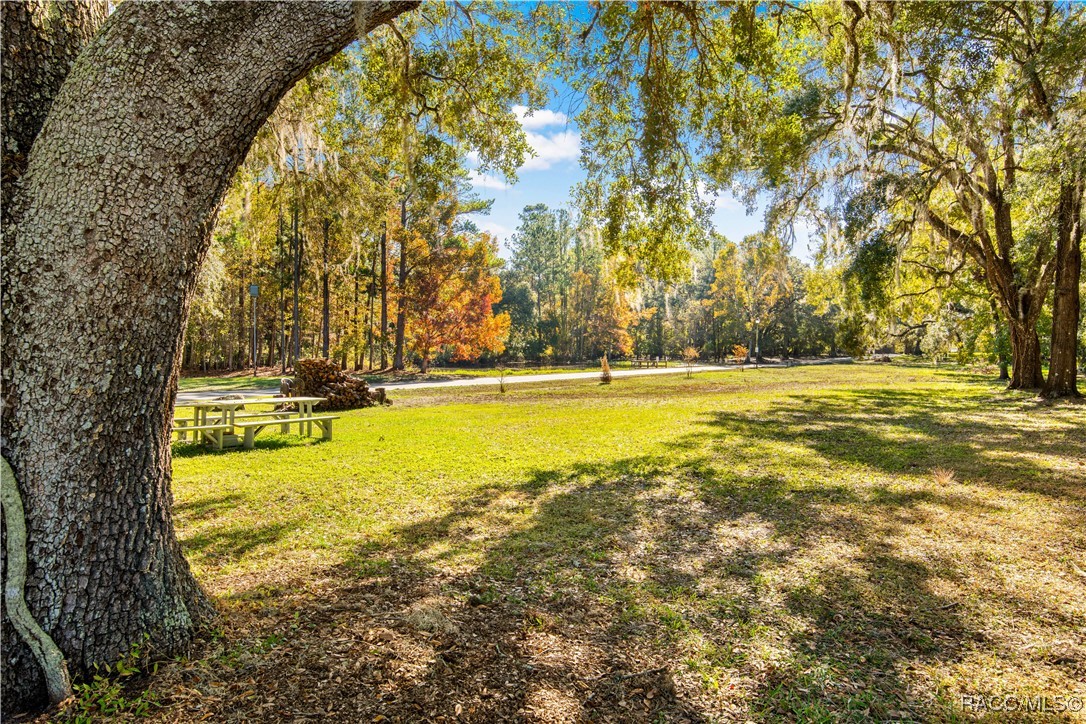 7112 Pine Needle Lane, Brooksville, Florida image 32