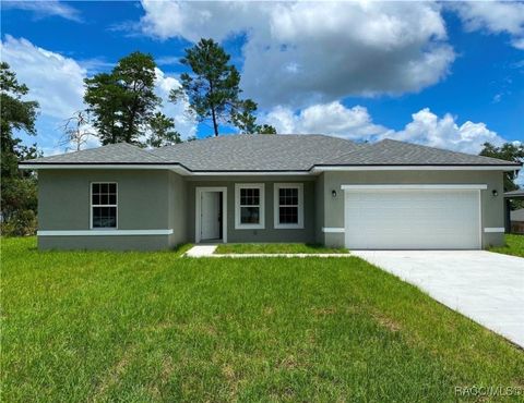 A home in Citrus Springs