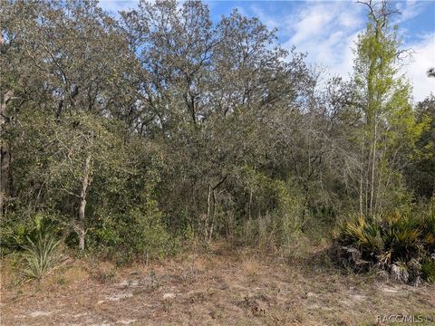 Vacant Land For Sale - 6775 S Sorrell Avenue<br/> Homosassa, FL 34446