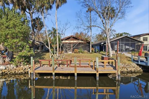 11464 W Clubview Drive Homosassa FL 34448