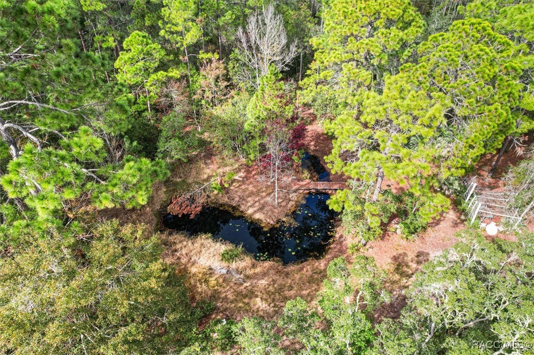 5322 Benton Terrace, Homosassa, Florida image 6