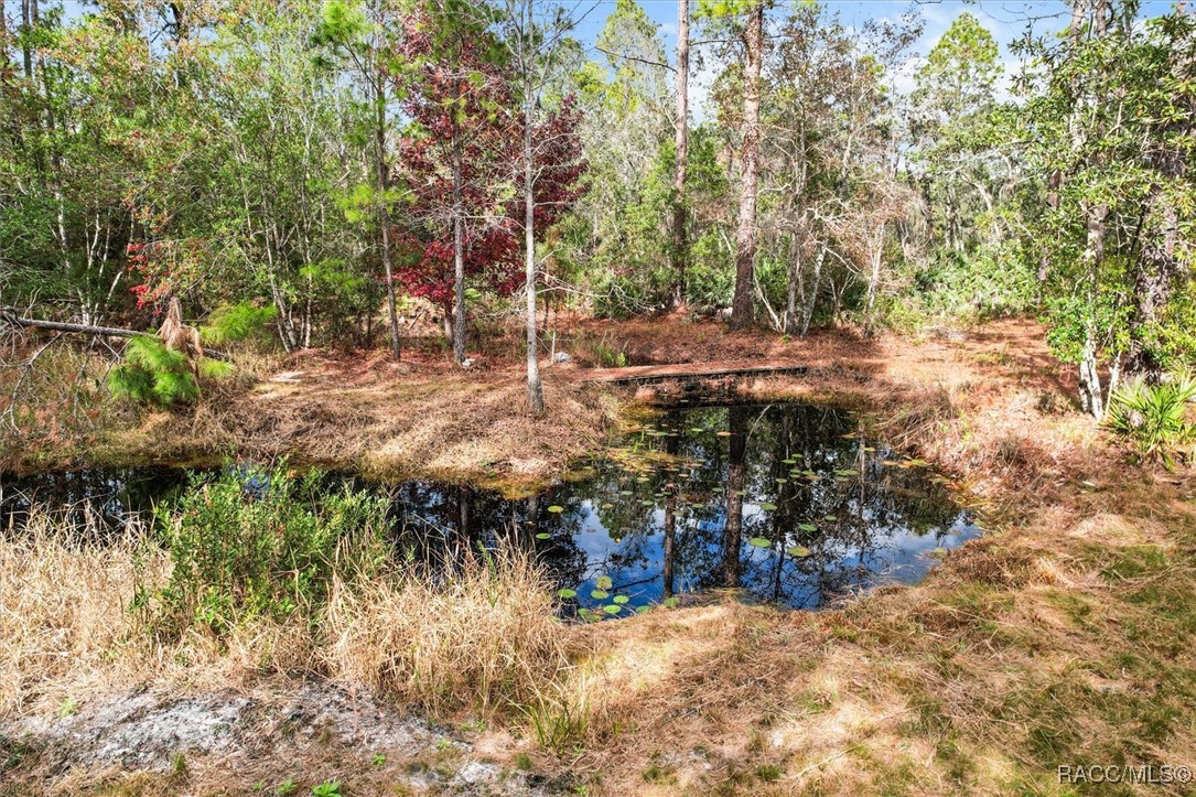 5322 Benton Terrace, Homosassa, Florida image 9
