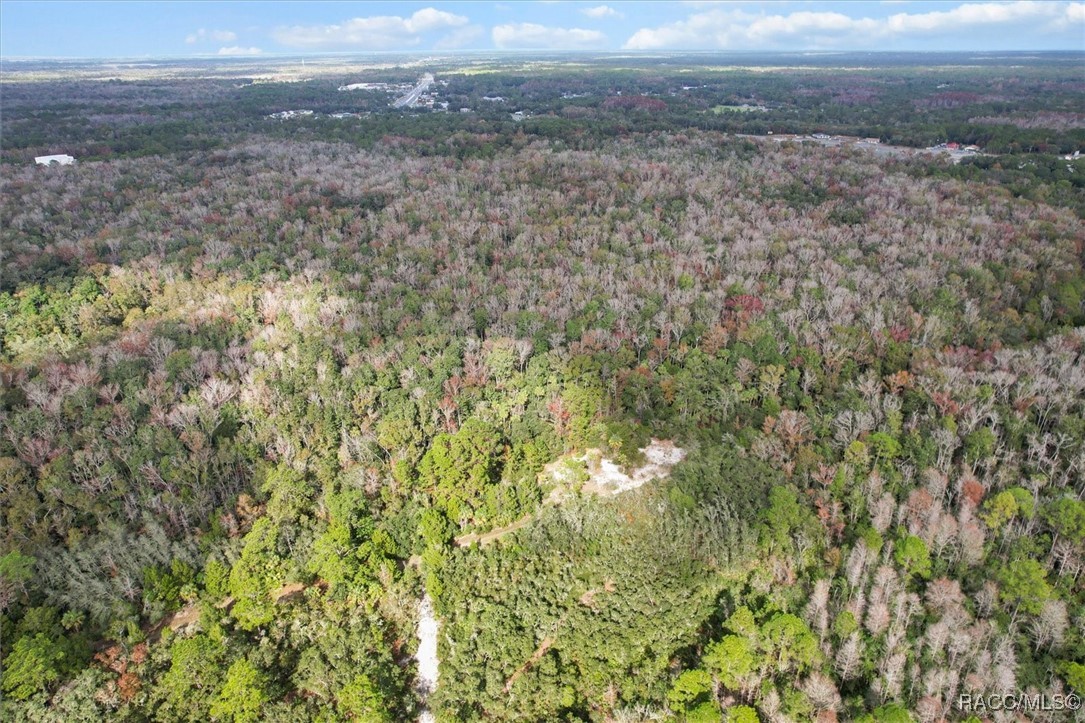 5322 Benton Terrace, Homosassa, Florida image 11