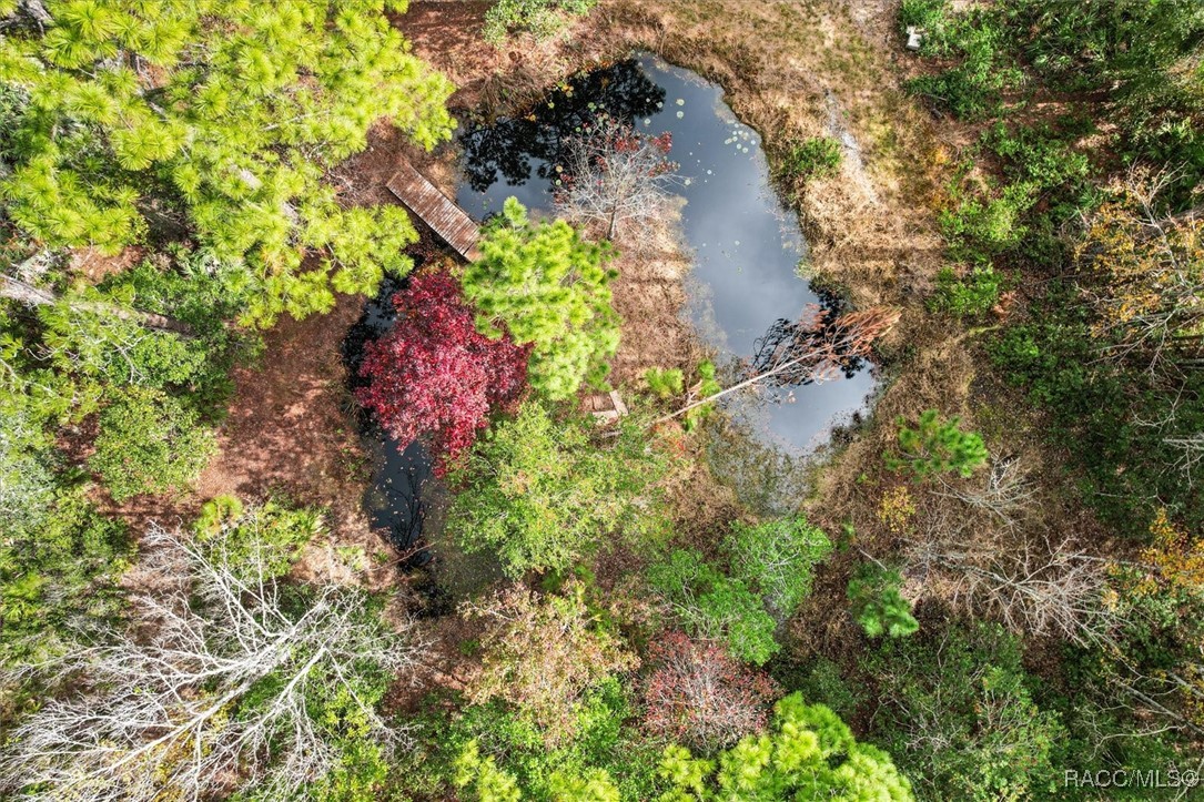 5322 Benton Terrace, Homosassa, Florida image 1