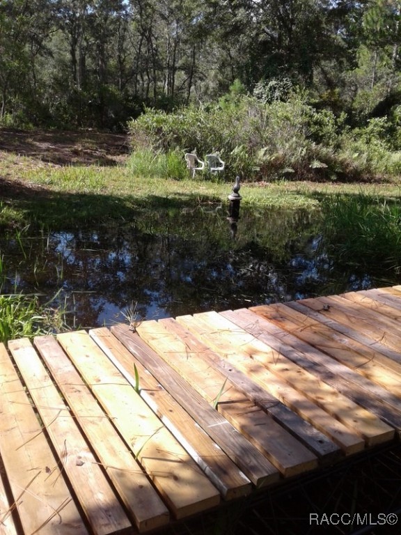 5322 Benton Terrace, Homosassa, Florida image 3