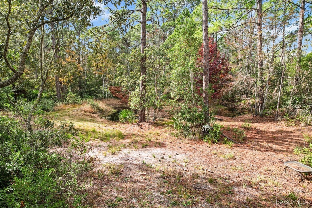 5322 Benton Terrace, Homosassa, Florida image 16