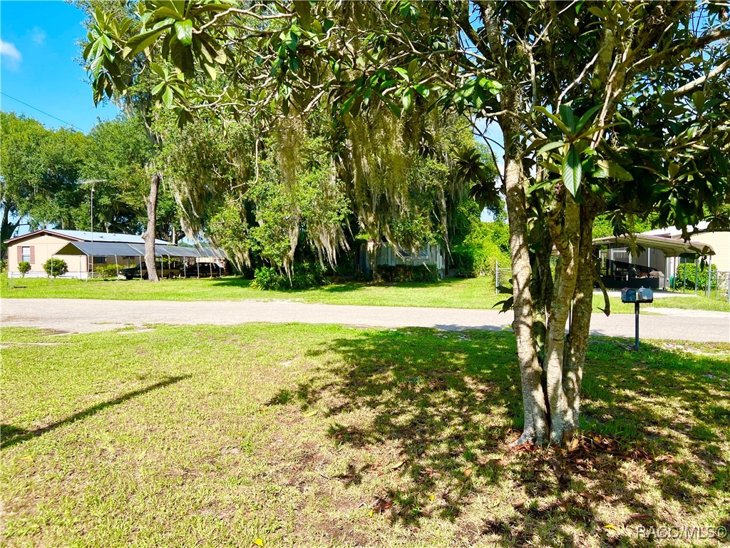 1159 County 482c1 Road, Lake Panasoffkee, Florida image 17