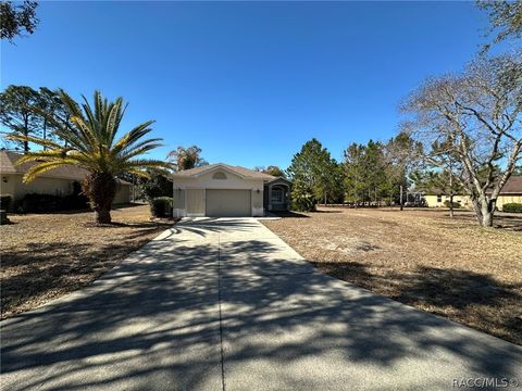 Homes For Sale - 2394 N Brentwood Circle<br/> Lecanto, FL 34461