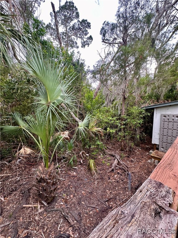 5809 S Hellgate Island, Homosassa, Florida image 20