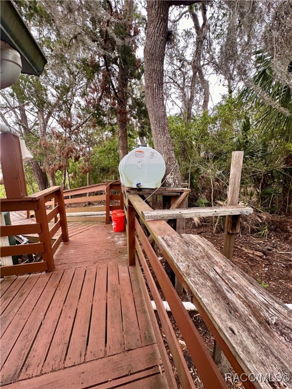 5809 S Hellgate Island, Homosassa, Florida image 16