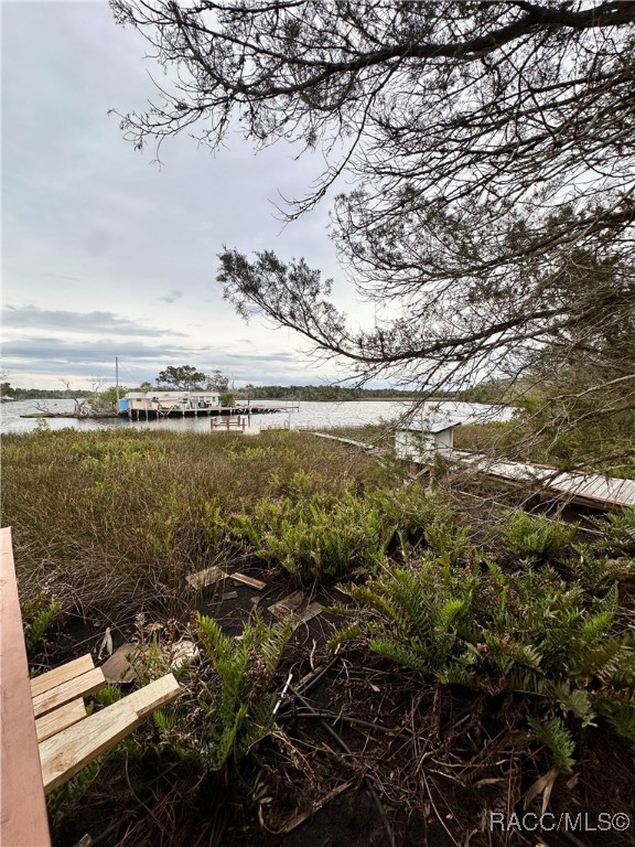 5809 S Hellgate Island, Homosassa, Florida image 11