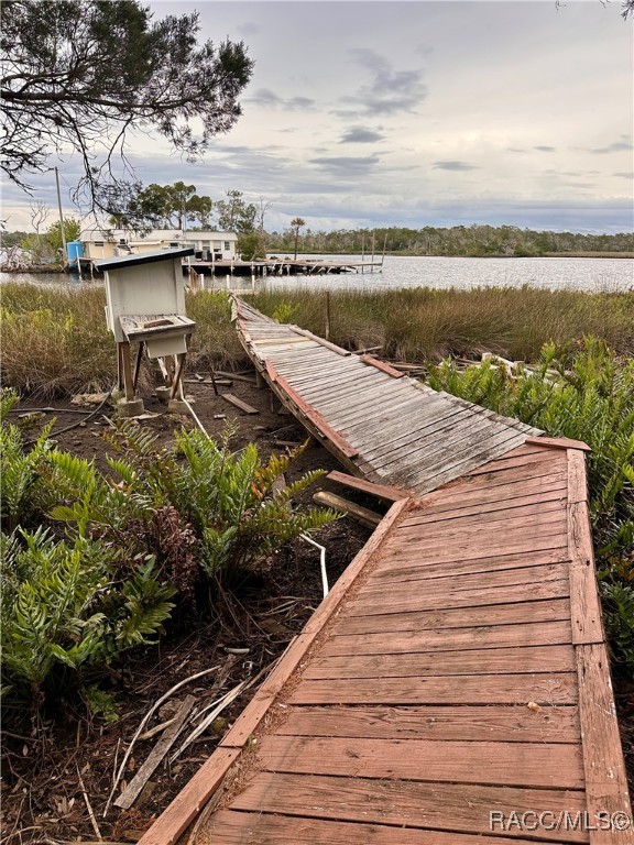 5809 S Hellgate Island, Homosassa, Florida image 3