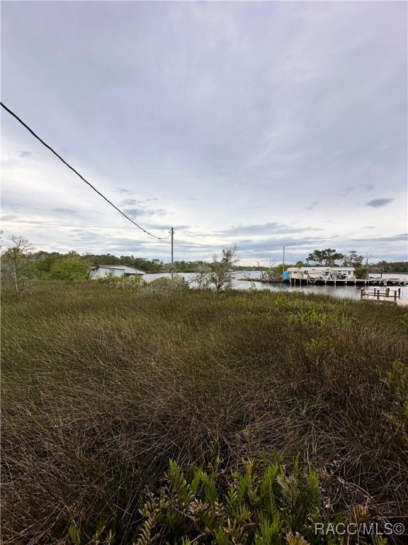 5809 S Hellgate Island, Homosassa, Florida image 9