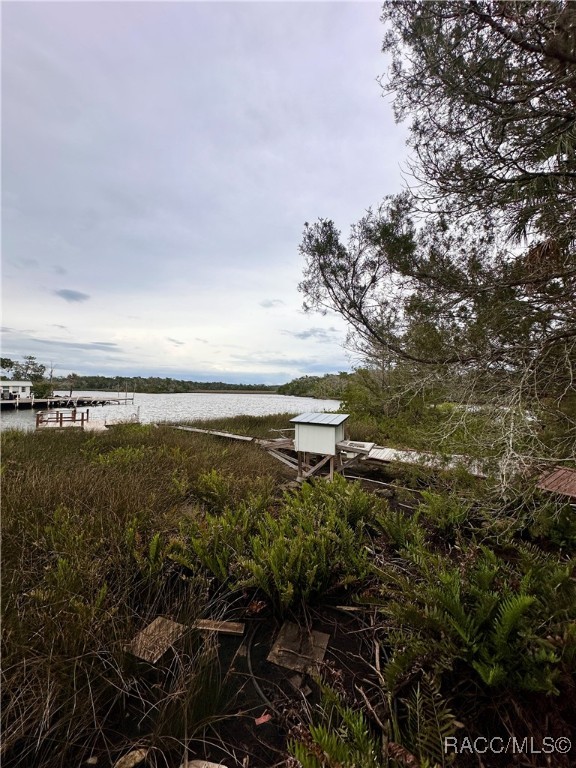 5809 S Hellgate Island, Homosassa, Florida image 10