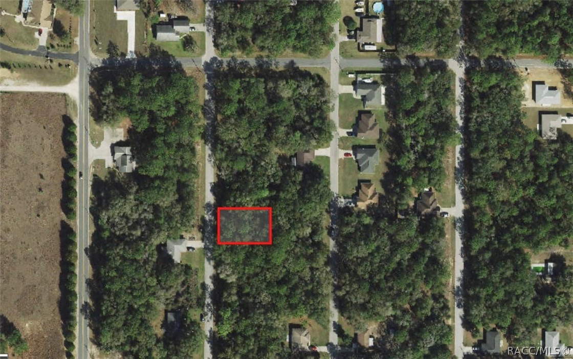 305 N Fitzpatrick Avenue, Inverness, Florida image 1