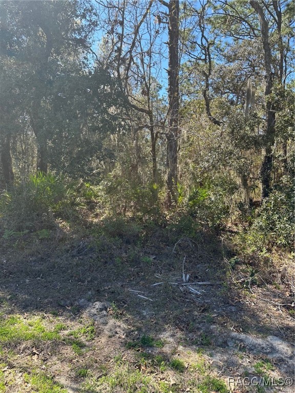 2830 S Bolton Avenue, Homosassa, Florida image 4