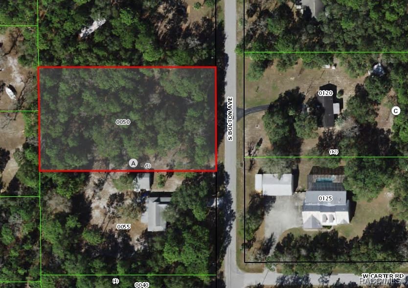 2830 S Bolton Avenue, Homosassa, Florida image 7