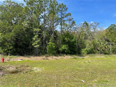 Vacant Land For Sale - 4584 S Suncoast Boulevard<br/> Homosassa, FL 34446