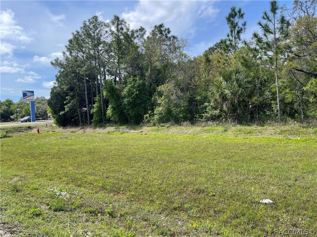4584 S Suncoast Boulevard, Homosassa, Florida image 4