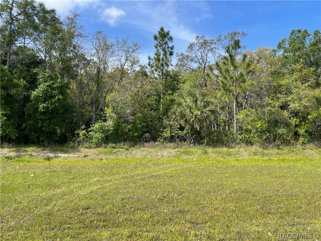 4584 S Suncoast Boulevard, Homosassa, Florida image 2