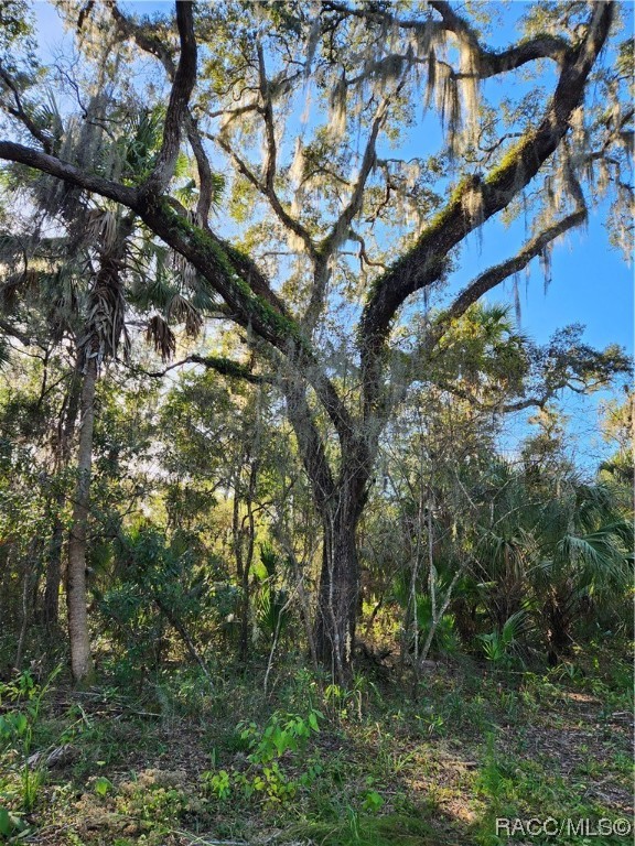 5274 & 5306 N Suncoast Boulevard, Crystal River, Florida image 8