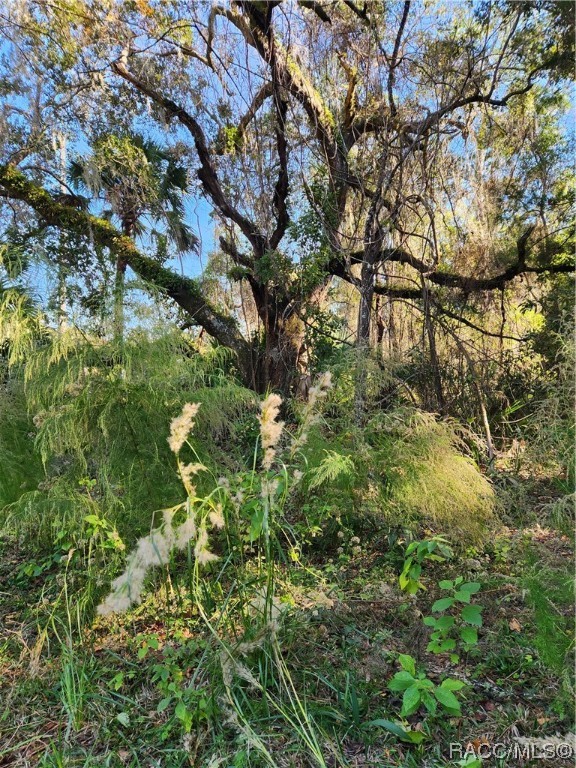 5274 & 5306 N Suncoast Boulevard, Crystal River, Florida image 9