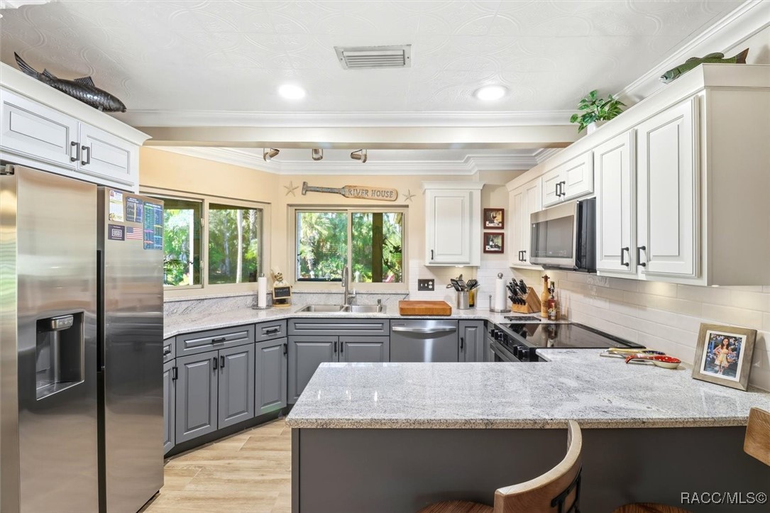 10039 W Halls River Road