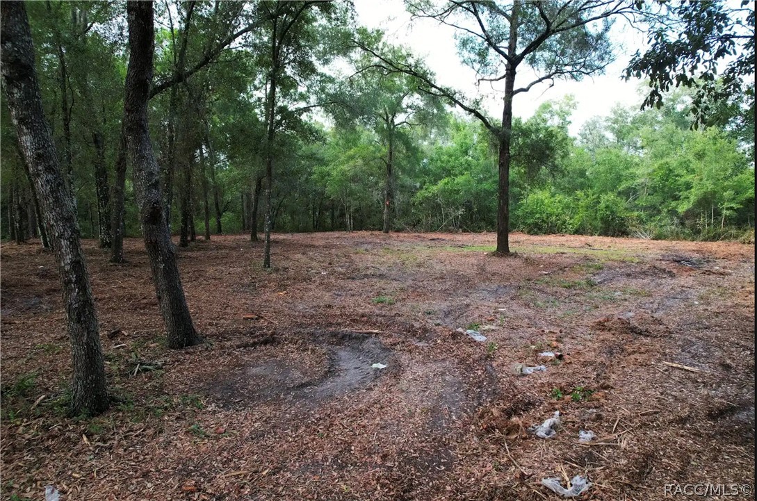Photo 1 of 8 — 6777 N Castlebury Road, Hernando, FL 34442