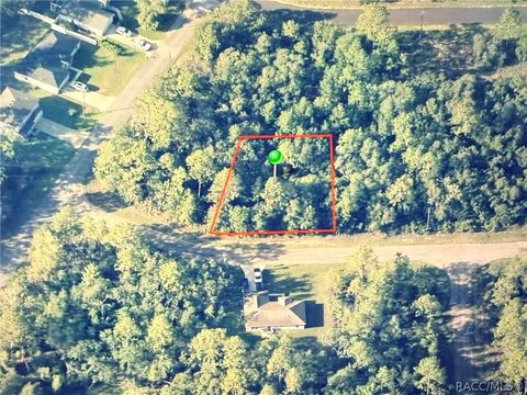 Vacant Land For Sale - 3270 W Yardley Lane<br/> Dunnellon, FL 34433