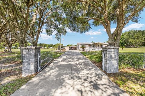 11526 N Rock Avenue Dunnellon FL 34433
