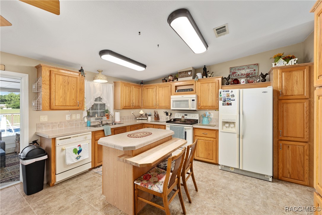 11526 N Rock Avenue, Dunnellon, Florida image 22