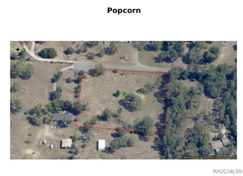 Vacant Land For Sale - 1502 N Popcorn Point<br/> Inverness, FL 34453