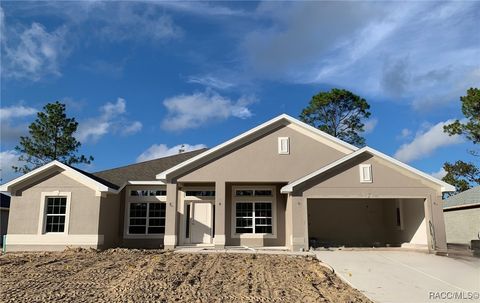 2173 W Say Drive Dunnellon FL 34434