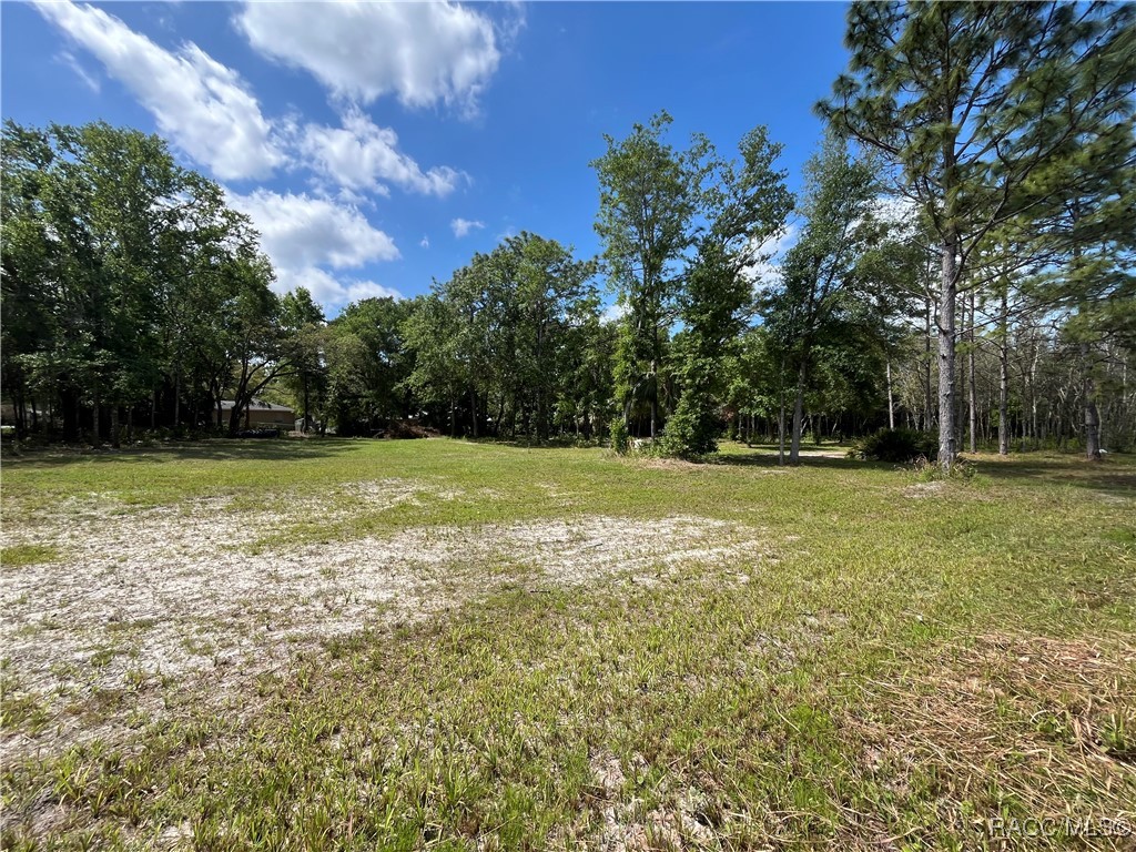 4024 S Skylark Terrace, Homosassa, New York image 5