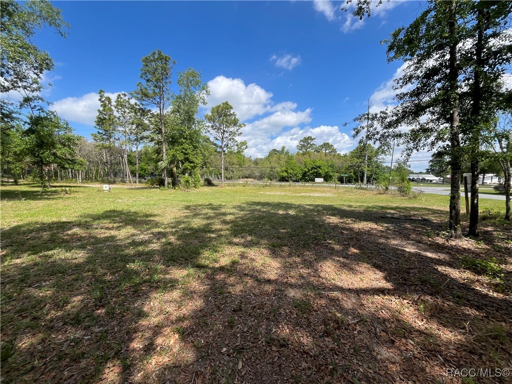 4024 S Skylark Terrace, Homosassa, New York image 7