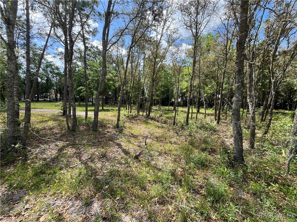 4024 S Skylark Terrace, Homosassa, New York image 11