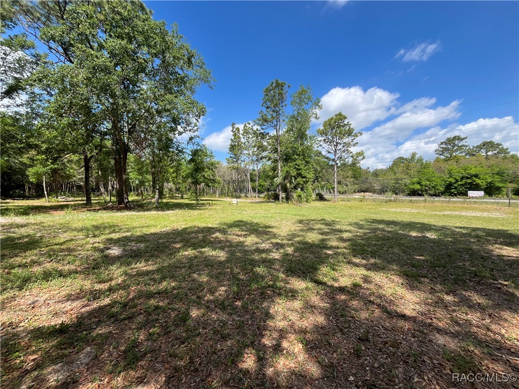 4024 S Skylark Terrace, Homosassa, New York image 8