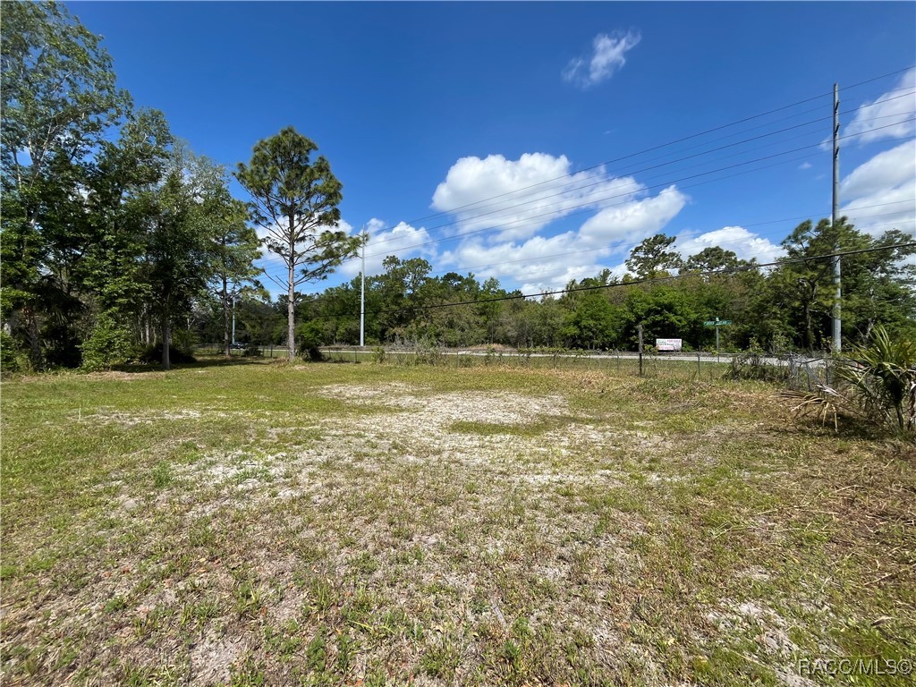 4024 S Skylark Terrace, Homosassa, New York image 4