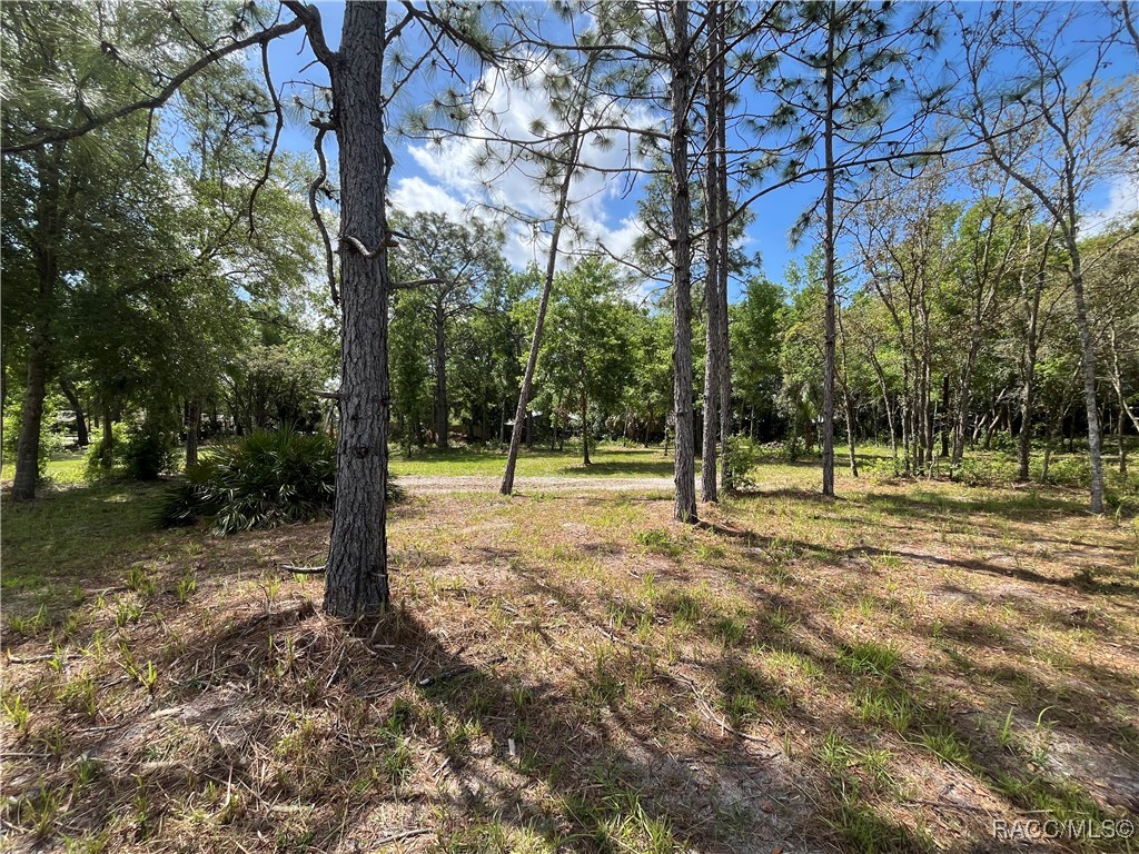 4024 S Skylark Terrace, Homosassa, New York image 9
