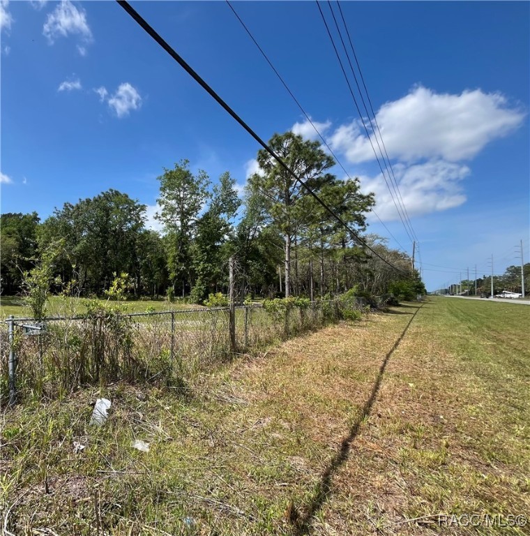 4024 S Skylark Terrace, Homosassa, New York image 2
