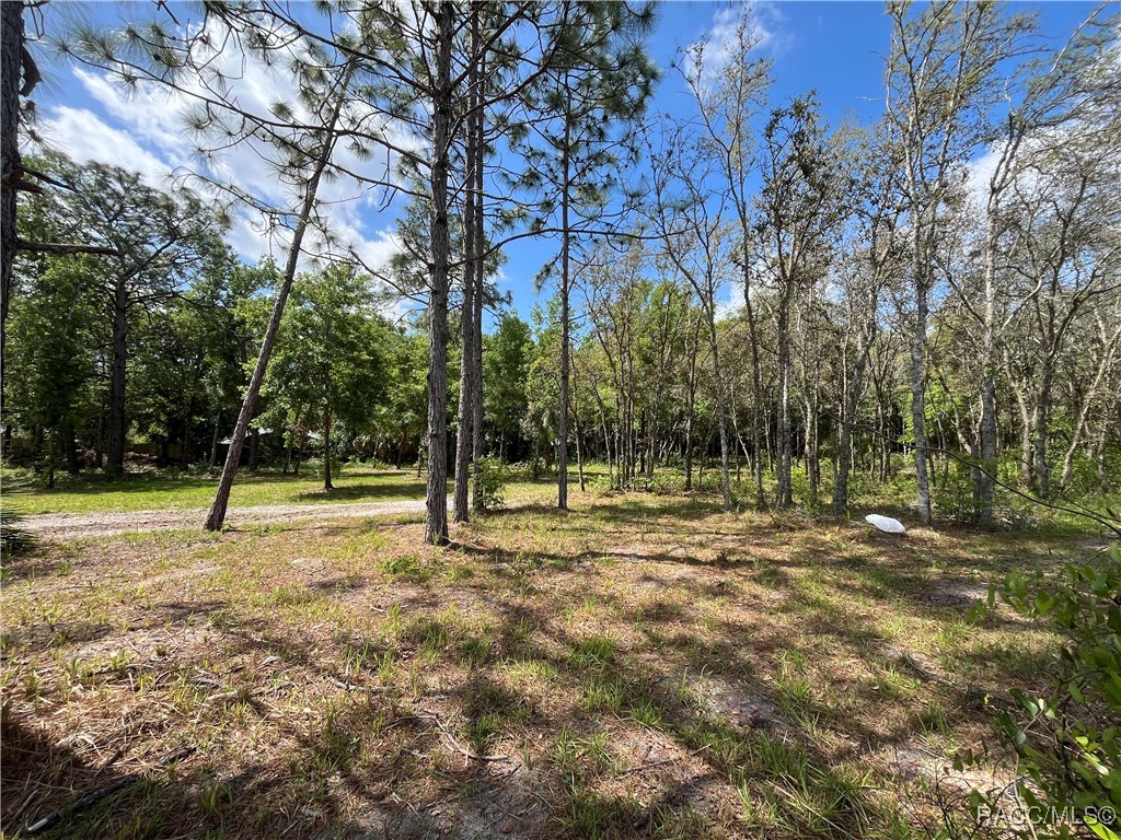 4024 S Skylark Terrace, Homosassa, New York image 10