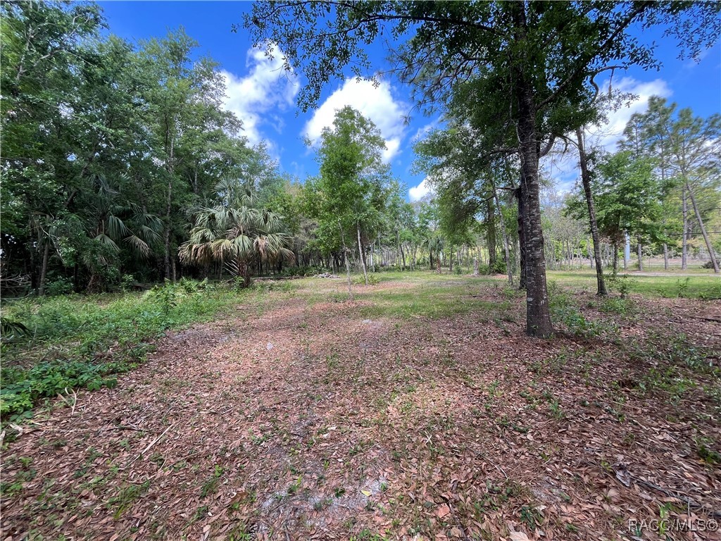 4024 S Skylark Terrace, Homosassa, New York image 12