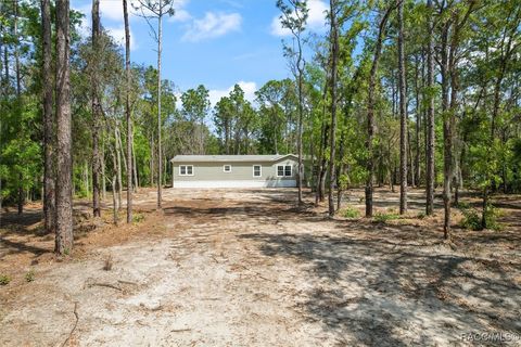 A home in Homosassa