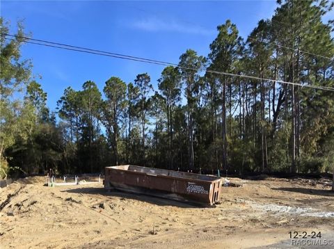 A home in Citrus Springs