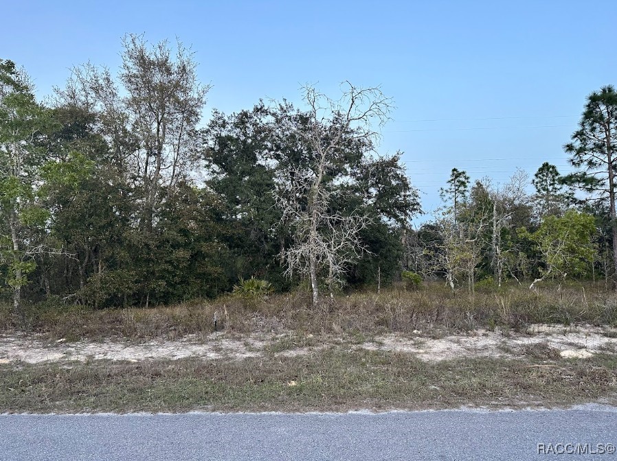 22 Lupine Street, Homosassa, Florida image 1