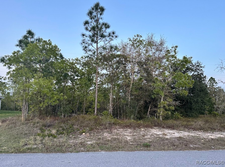 22 Lupine Street, Homosassa, Florida image 2