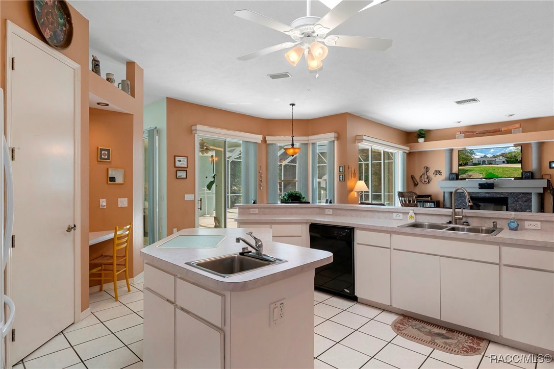 1 Plum Court, Homosassa, Florida image 17