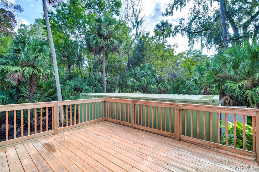 5549 S Chamberlain Pool Avenue, Homosassa, Florida image 31